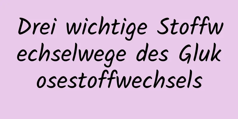 Drei wichtige Stoffwechselwege des Glukosestoffwechsels