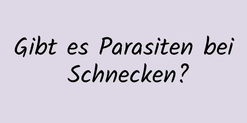 Gibt es Parasiten bei Schnecken?