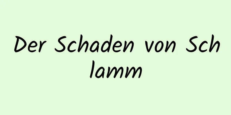 Der Schaden von Schlamm