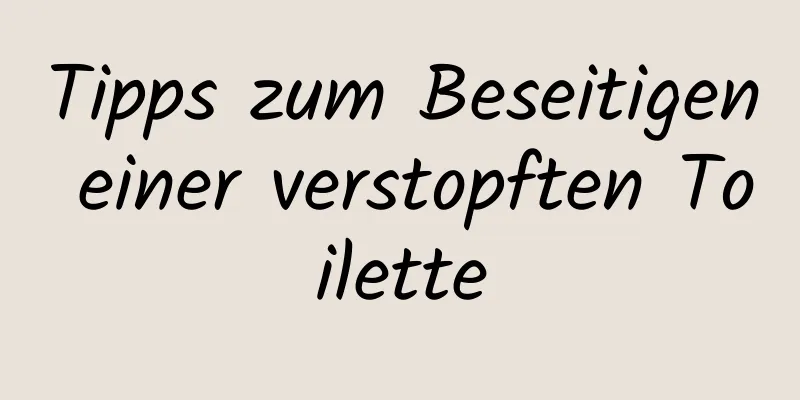 Tipps zum Beseitigen einer verstopften Toilette