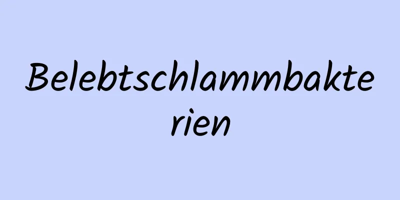 Belebtschlammbakterien