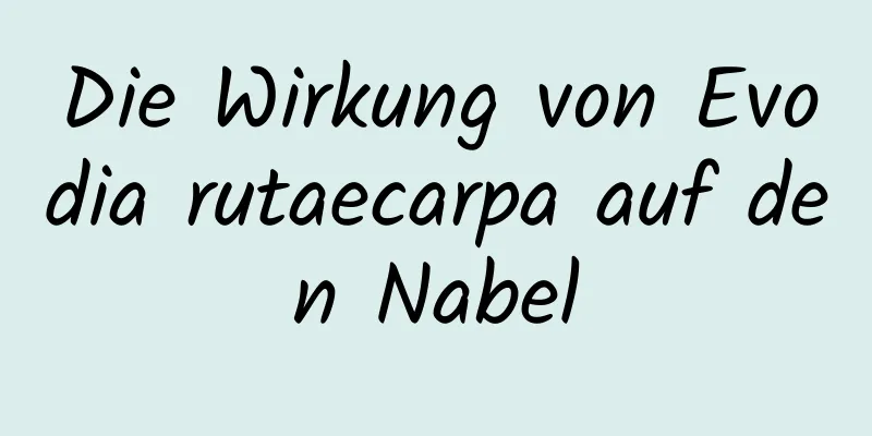 Die Wirkung von Evodia rutaecarpa auf den Nabel