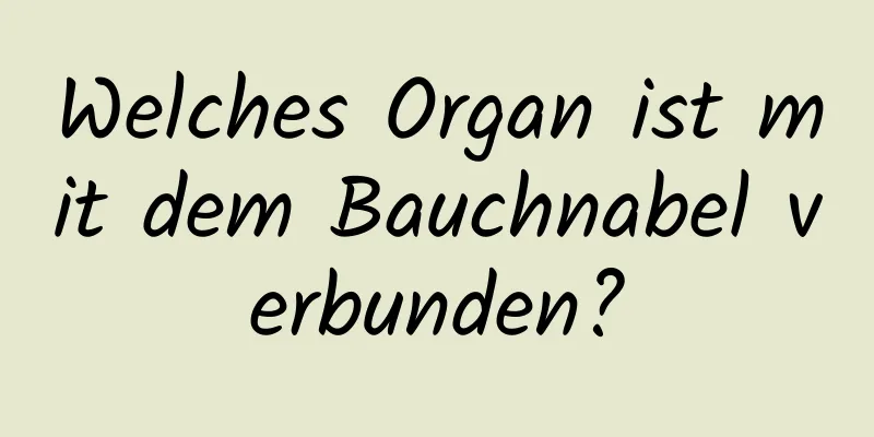 Welches Organ ist mit dem Bauchnabel verbunden?