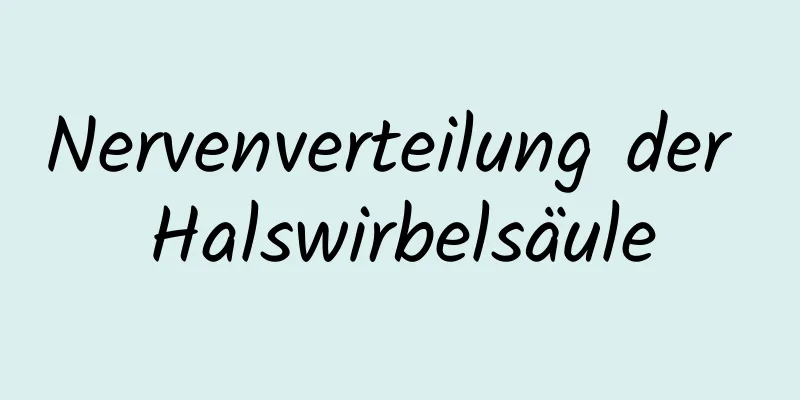 Nervenverteilung der Halswirbelsäule