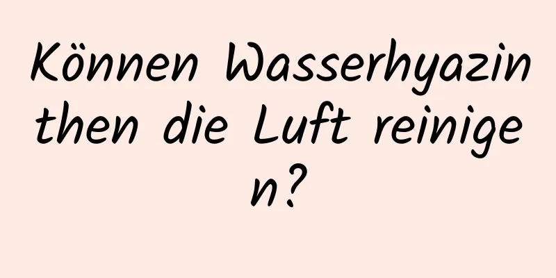 Können Wasserhyazinthen die Luft reinigen?