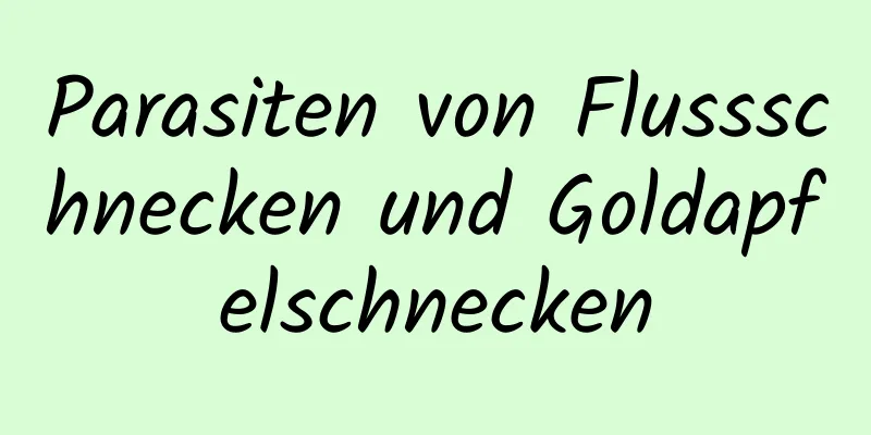 Parasiten von Flussschnecken und Goldapfelschnecken