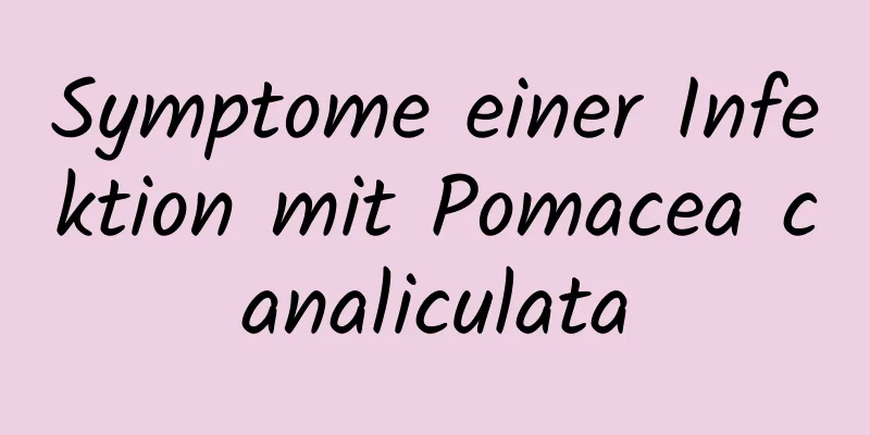 Symptome einer Infektion mit Pomacea canaliculata