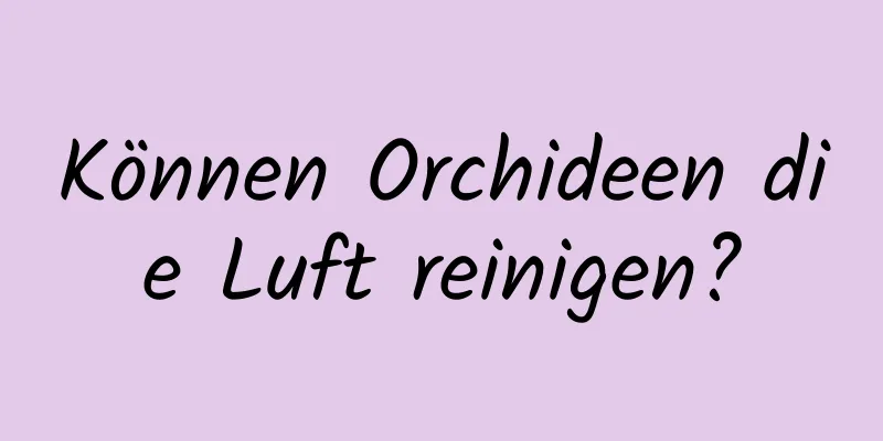 Können Orchideen die Luft reinigen?