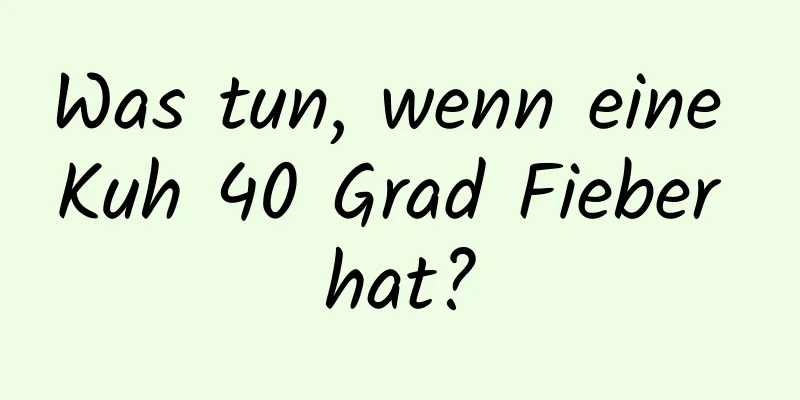 Was tun, wenn eine Kuh 40 Grad Fieber hat?