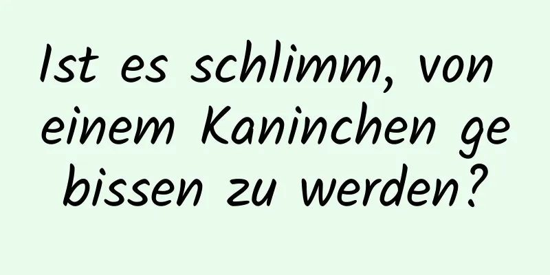 Ist es schlimm, von einem Kaninchen gebissen zu werden?