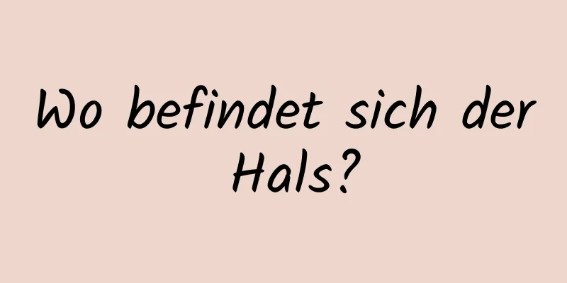 Wo befindet sich der Hals?