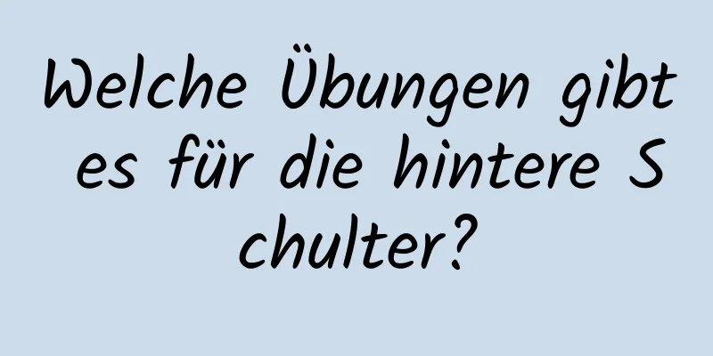 Welche Übungen gibt es für die hintere Schulter?