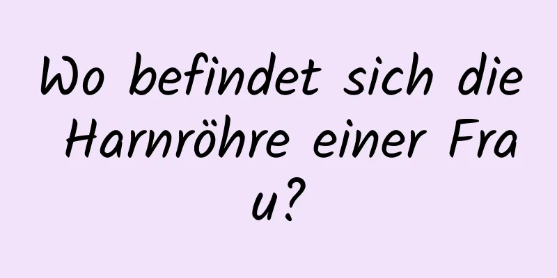 Wo befindet sich die Harnröhre einer Frau?