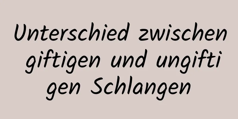 Unterschied zwischen giftigen und ungiftigen Schlangen