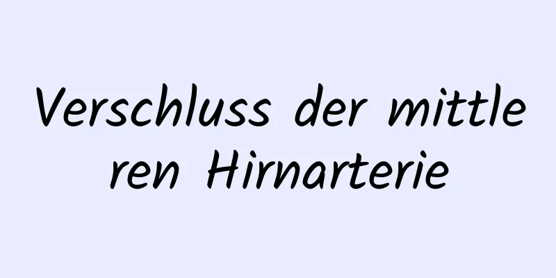 Verschluss der mittleren Hirnarterie
