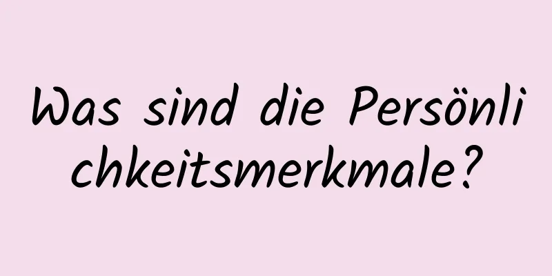 Was sind die Persönlichkeitsmerkmale?