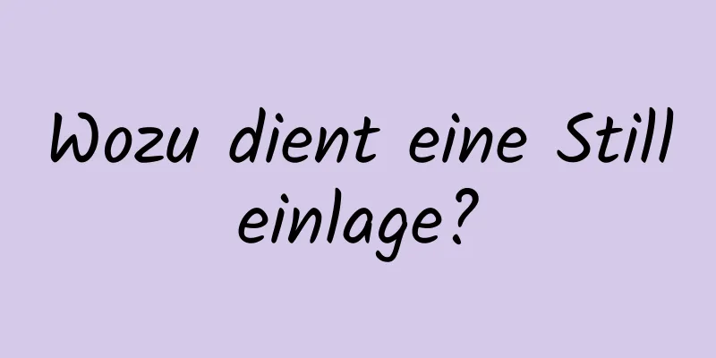 Wozu dient eine Stilleinlage?
