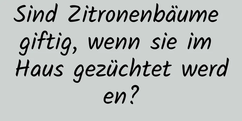 Sind Zitronenbäume giftig, wenn sie im Haus gezüchtet werden?