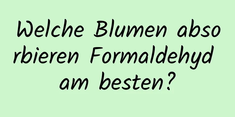 Welche Blumen absorbieren Formaldehyd am besten?