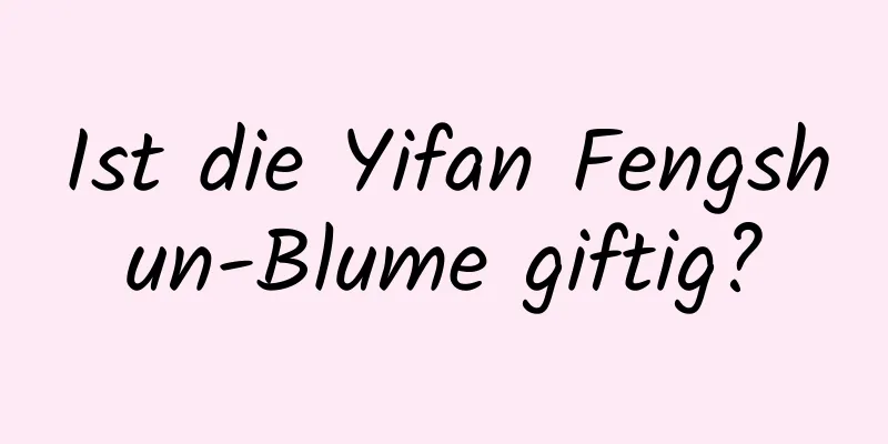 Ist die Yifan Fengshun-Blume giftig?