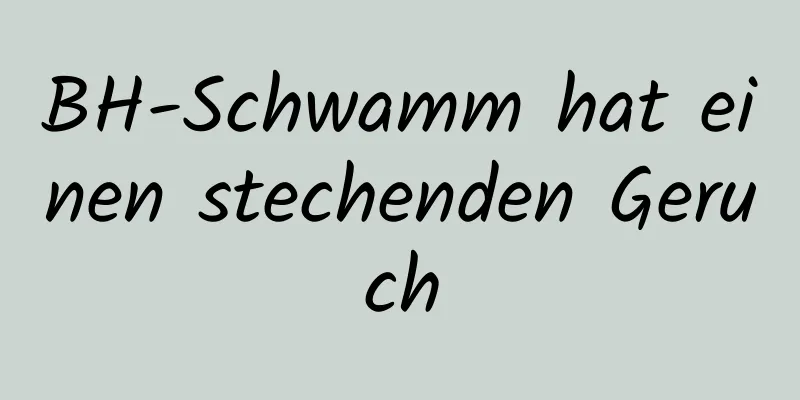 BH-Schwamm hat einen stechenden Geruch