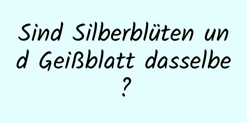 Sind Silberblüten und Geißblatt dasselbe?