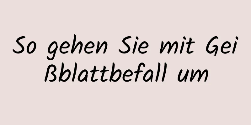 So gehen Sie mit Geißblattbefall um