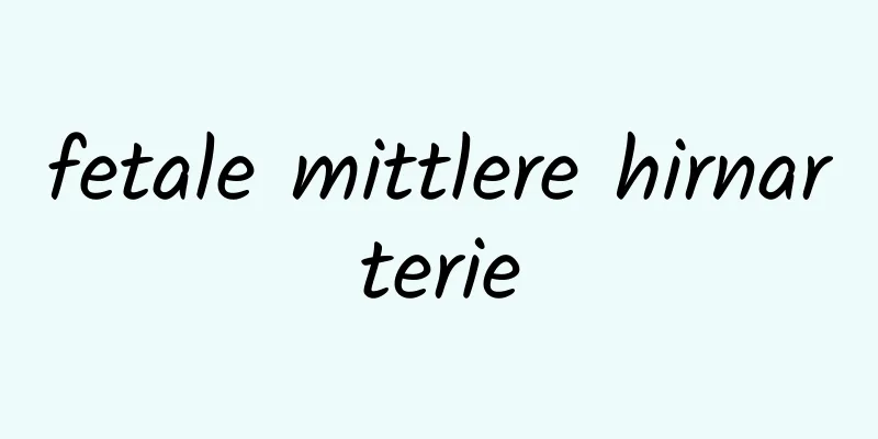 fetale mittlere hirnarterie