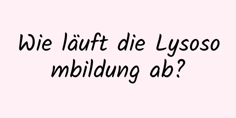 Wie läuft die Lysosombildung ab?