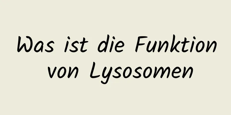 Was ist die Funktion von Lysosomen
