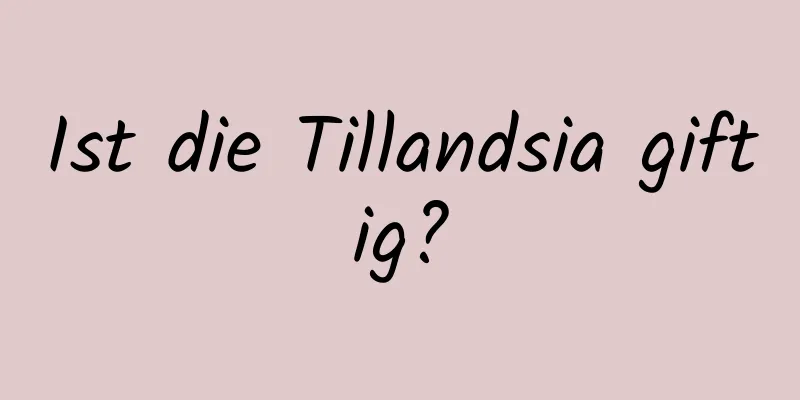 Ist die Tillandsia giftig?