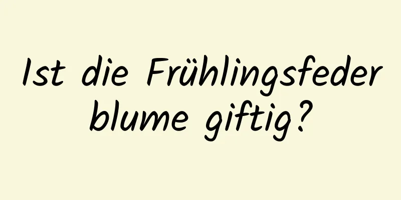 Ist die Frühlingsfederblume giftig?