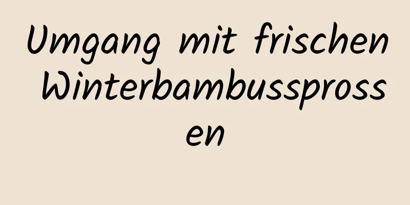 Umgang mit frischen Winterbambussprossen