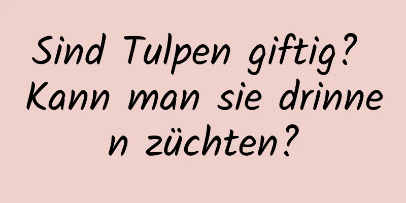 Sind Tulpen giftig? Kann man sie drinnen züchten?