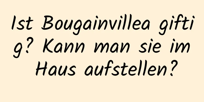 Ist Bougainvillea giftig? Kann man sie im Haus aufstellen?