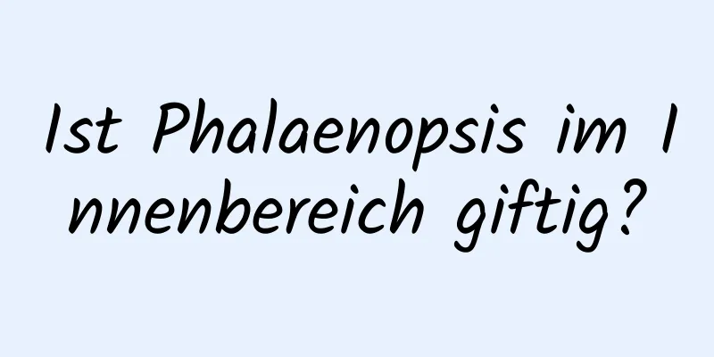 Ist Phalaenopsis im Innenbereich giftig?