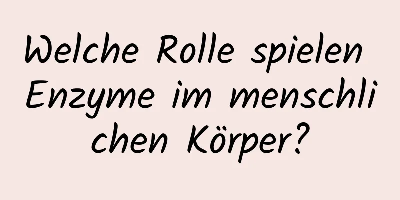 Welche Rolle spielen Enzyme im menschlichen Körper?
