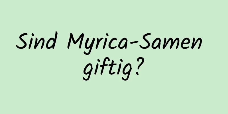 Sind Myrica-Samen giftig?