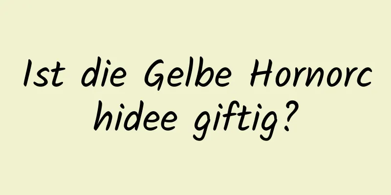 Ist die Gelbe Hornorchidee giftig?