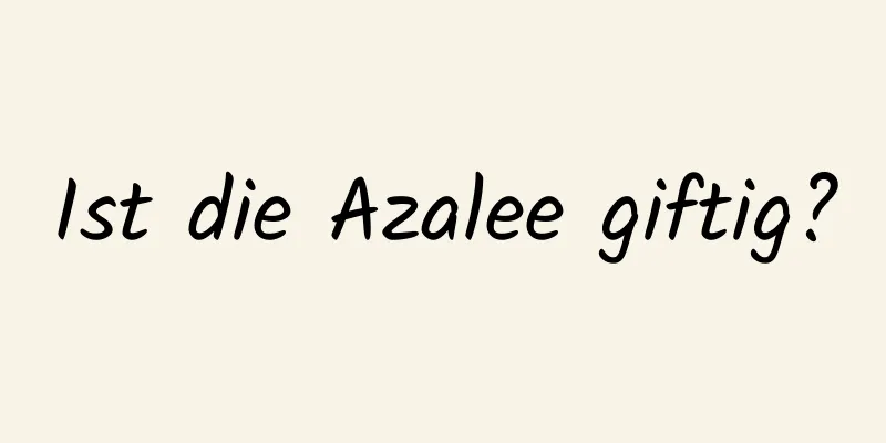Ist die Azalee giftig?