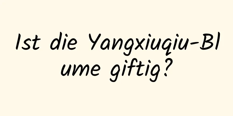 Ist die Yangxiuqiu-Blume giftig?