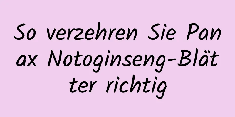 So verzehren Sie Panax Notoginseng-Blätter richtig