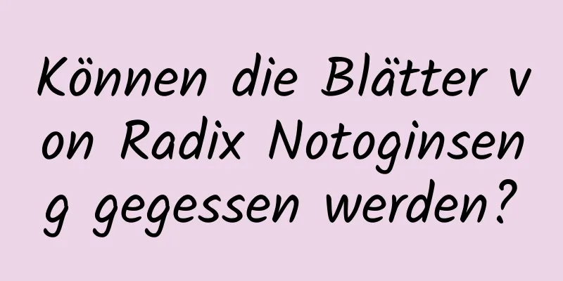 Können die Blätter von Radix Notoginseng gegessen werden?