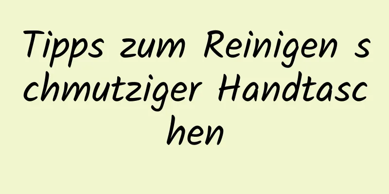 Tipps zum Reinigen schmutziger Handtaschen