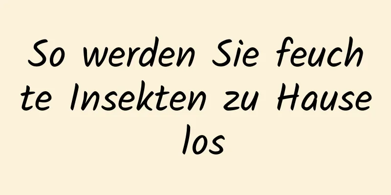So werden Sie feuchte Insekten zu Hause los