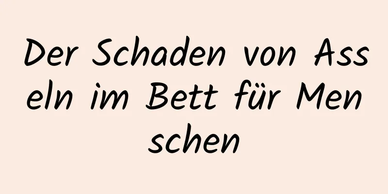 Der Schaden von Asseln im Bett für Menschen