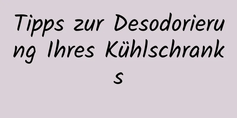 Tipps zur Desodorierung Ihres Kühlschranks