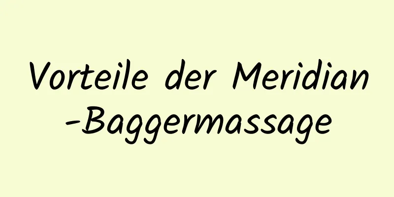 Vorteile der Meridian-Baggermassage