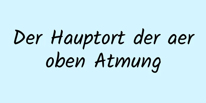 Der Hauptort der aeroben Atmung