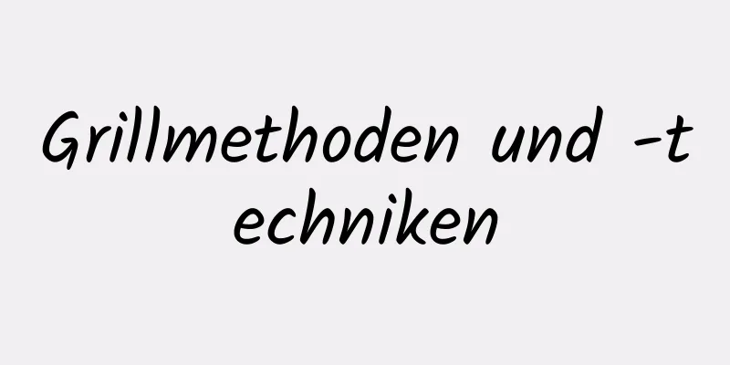 Grillmethoden und -techniken